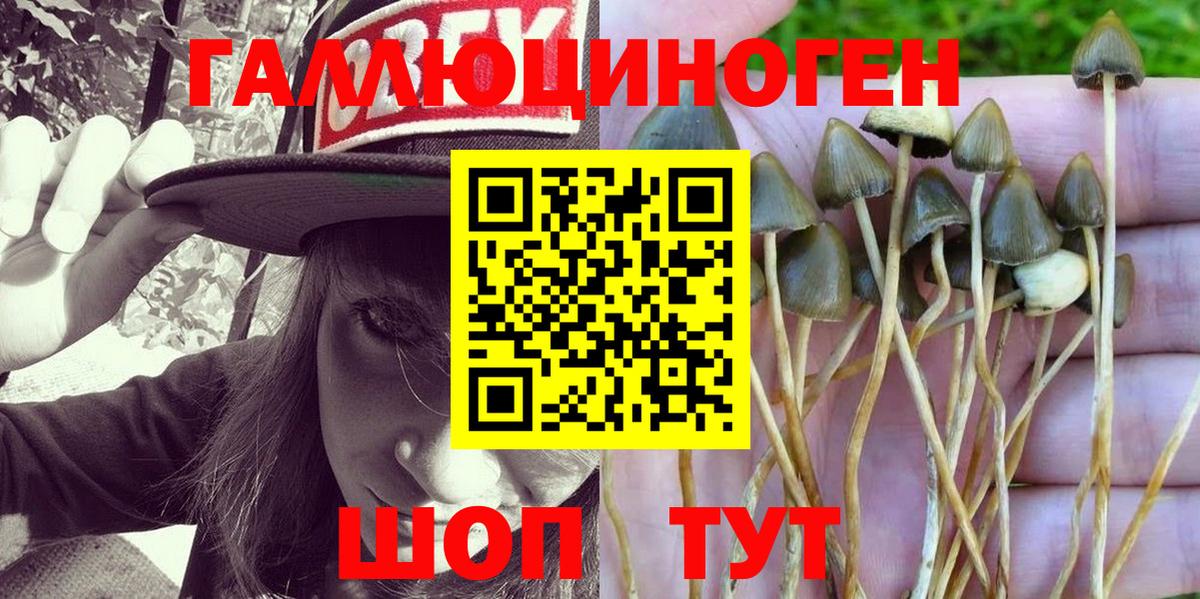 Псилоцибиновые грибы GOLDEN TEACHER  Вход с VPN  Казань 